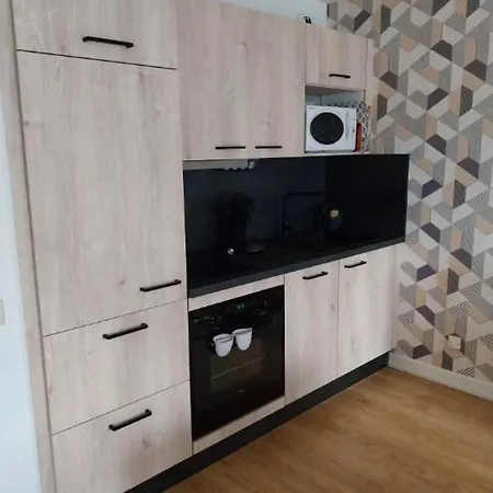 F2 Apartment Gerardmer