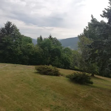 F2 Apartment Gerardmer